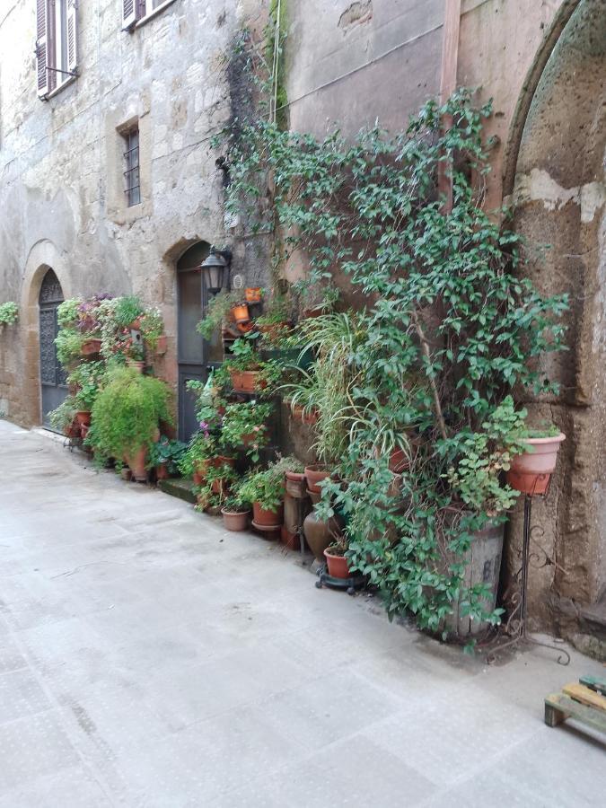 פיטיליאנו La Casa Di Sally מראה חיצוני תמונה